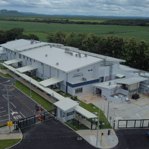 Area de salud Carrillo